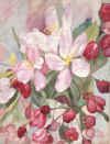 Beaucoup Blossoms.JPG (94843 bytes)