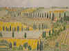 Hills of Tuscany.jpg (67748 bytes)