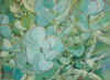 More Than Slightly Jaded.JPG (56697 bytes)